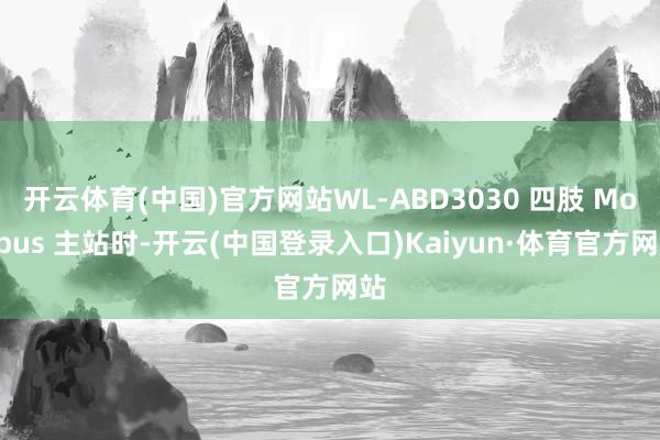 开云体育(中国)官方网站WL-ABD3030 四肢 Modbus 主站时-开云(中国登录入口)Kaiyun·体育官方网站