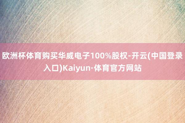 欧洲杯体育购买华威电子100%股权-开云(中国登录入口)Kaiyun·体育官方网站