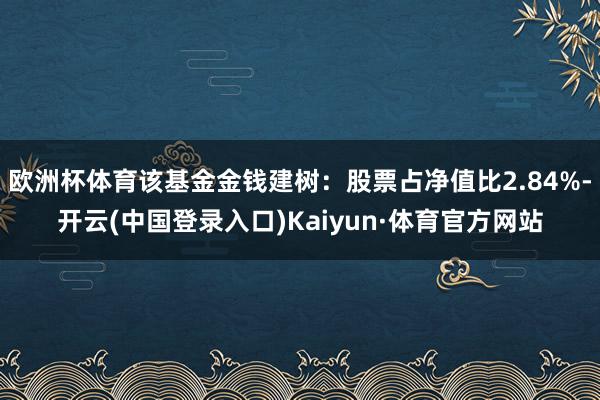 欧洲杯体育该基金金钱建树：股票占净值比2.84%-开云(中国登录入口)Kaiyun·体育官方网站