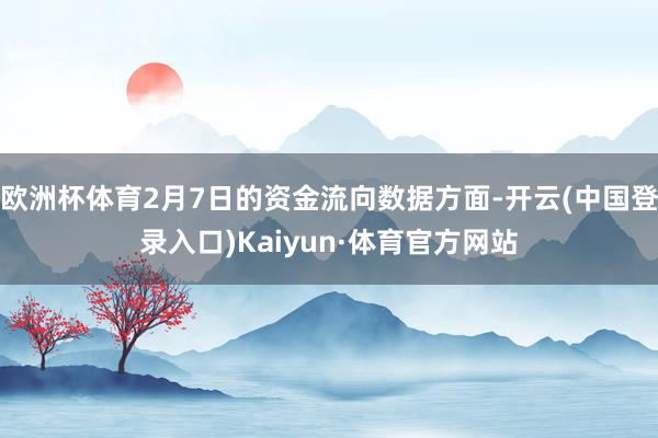 欧洲杯体育2月7日的资金流向数据方面-开云(中国登录入口)Kaiyun·体育官方网站