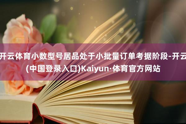 开云体育小数型号居品处于小批量订单考据阶段-开云(中国登录入口)Kaiyun·体育官方网站