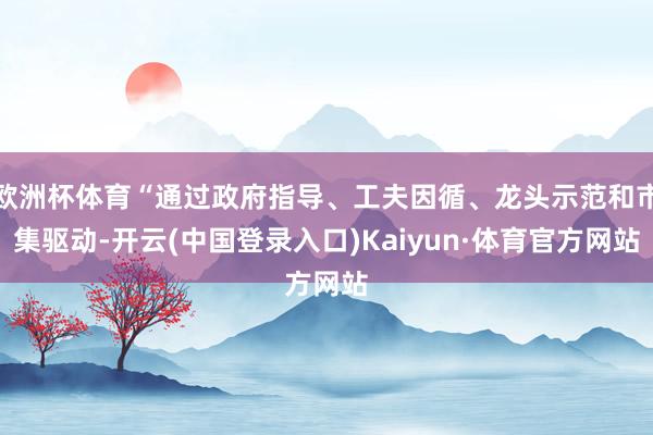 欧洲杯体育“通过政府指导、工夫因循、龙头示范和市集驱动-开云(中国登录入口)Kaiyun·体育官方网站