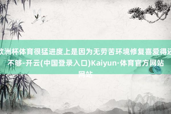 欧洲杯体育很猛进度上是因为无劳苦环境修复喜爱得还不够-开云(中国登录入口)Kaiyun·体育官方网站