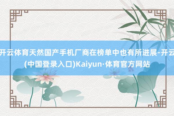 开云体育天然国产手机厂商在榜单中也有所进展-开云(中国登录入口)Kaiyun·体育官方网站