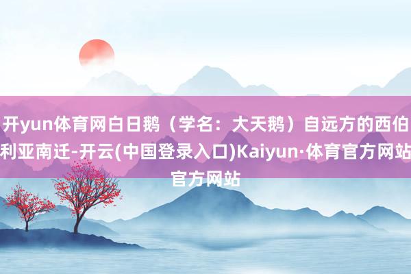 开yun体育网白日鹅（学名：大天鹅）自远方的西伯利亚南迁-开云(中国登录入口)Kaiyun·体育官方网站