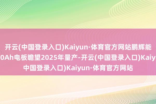 开云(中国登录入口)Kaiyun·体育官方网站鹏辉能源的氧化物体系20Ah电板瞻望2025年量产-开云(中国登录入口)Kaiyun·体育官方网站