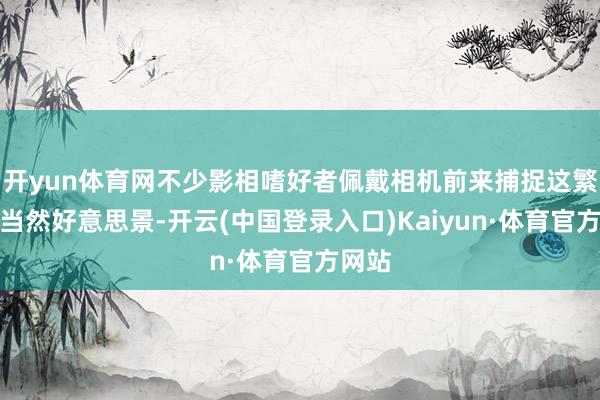 开yun体育网不少影相嗜好者佩戴相机前来捕捉这繁重的当然好意思景-开云(中国登录入口)Kaiyun·体育官方网站