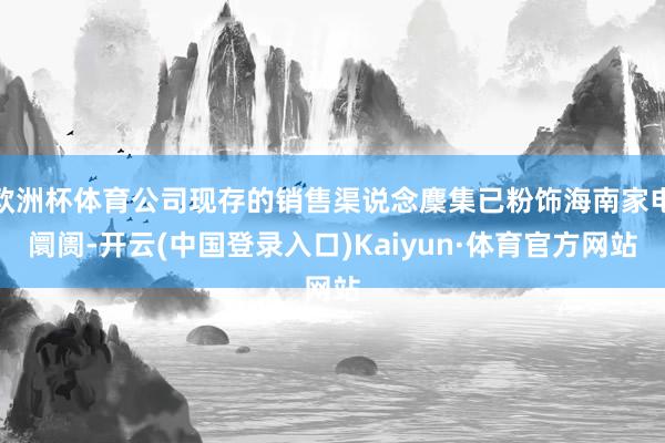 欧洲杯体育公司现存的销售渠说念麇集已粉饰海南家电阛阓-开云(中国登录入口)Kaiyun·体育官方网站