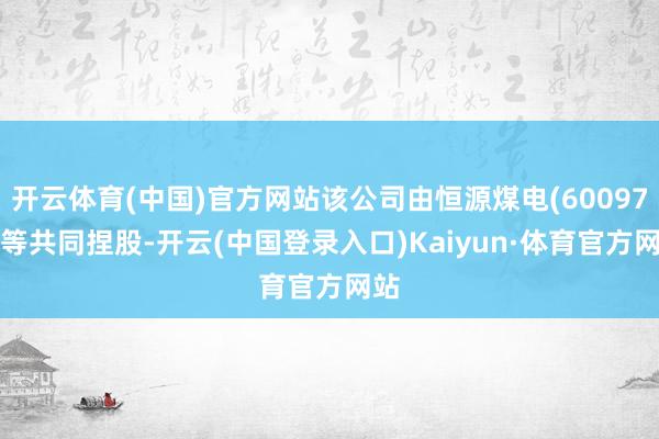 开云体育(中国)官方网站该公司由恒源煤电(600971)等共同捏股-开云(中国登录入口)Kaiyun·体育官方网站
