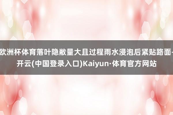 欧洲杯体育落叶隐敝量大且过程雨水浸泡后紧贴路面-开云(中国登录入口)Kaiyun·体育官方网站