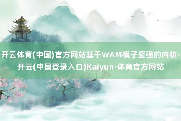 开云体育(中国)官方网站基于WAM模子坚强的内核-开云(中国登录入口)Kaiyun·体育官方网站