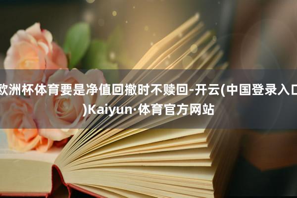 欧洲杯体育要是净值回撤时不赎回-开云(中国登录入口)Kaiyun·体育官方网站