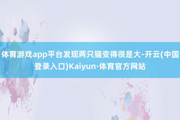 体育游戏app平台发现两只猫变得很是大-开云(中国登录入口)Kaiyun·体育官方网站