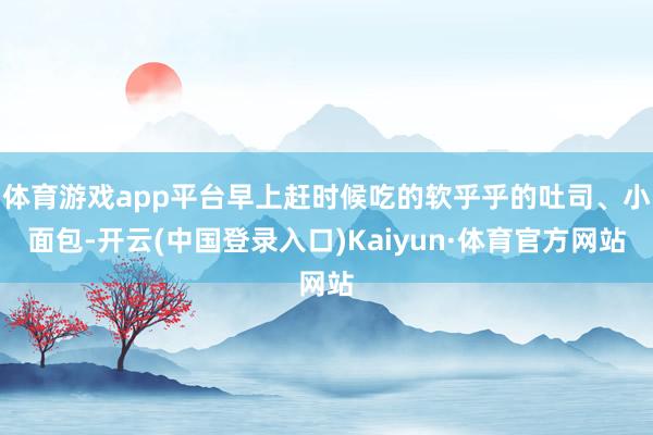体育游戏app平台早上赶时候吃的软乎乎的吐司、小面包-开云(中国登录入口)Kaiyun·体育官方网站