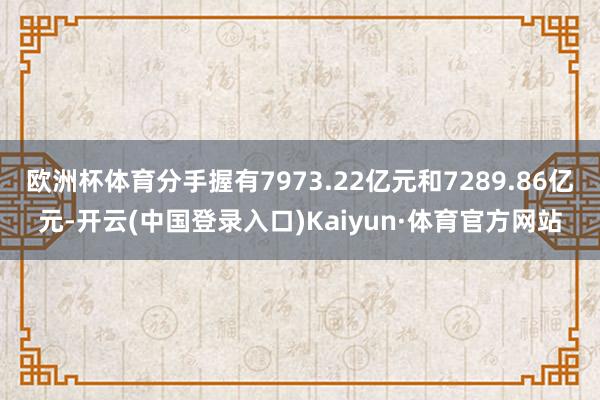 欧洲杯体育分手握有7973.22亿元和7289.86亿元-开云(中国登录入口)Kaiyun·体育官方网站