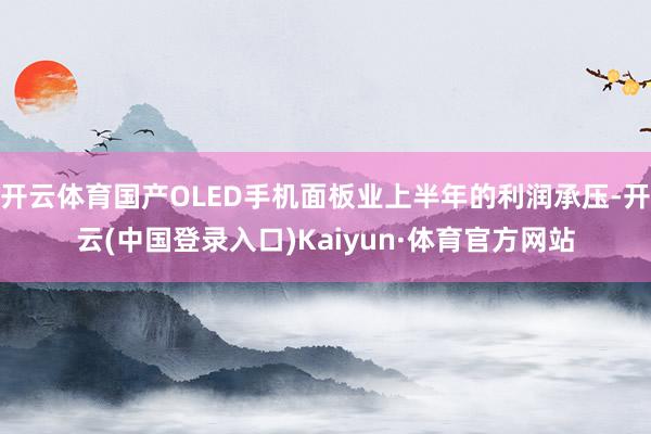 开云体育国产OLED手机面板业上半年的利润承压-开云(中国登录入口)Kaiyun·体育官方网站