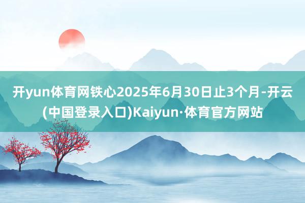 开yun体育网　　铁心2025年6月30日止3个月-开云(中国登录入口)Kaiyun·体育官方网站
