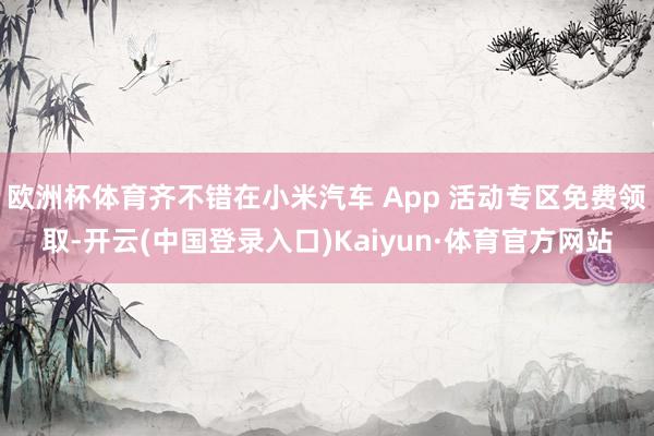 欧洲杯体育齐不错在小米汽车 App 活动专区免费领取-开云(中国登录入口)Kaiyun·体育官方网站