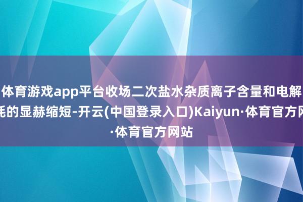 体育游戏app平台收场二次盐水杂质离子含量和电解电耗的显赫缩短-开云(中国登录入口)Kaiyun·体育官方网站